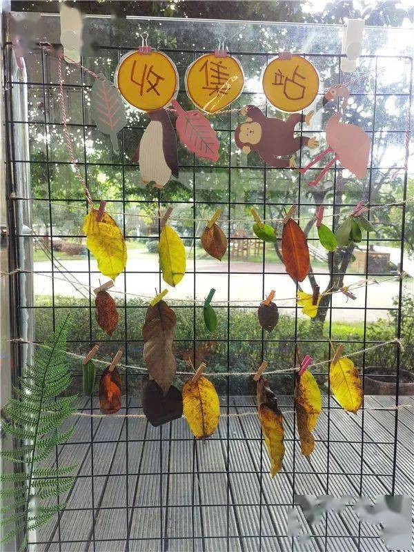 树叶收集站的故事