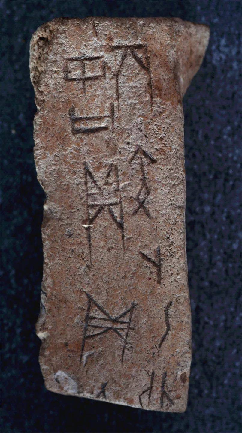 旅顺博物馆藏甲骨——高清彩版实物照片精选