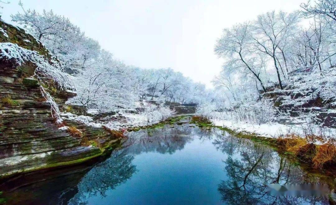 【易龙润滑油】青州,春赏百花冬观雪