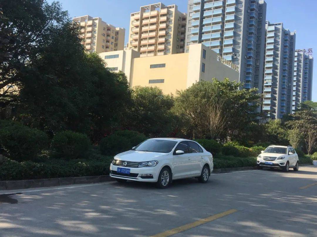 电白这些小车被公开曝光!