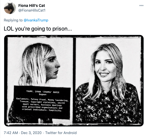 "  美国网友大肆p起伊万卡的入狱图