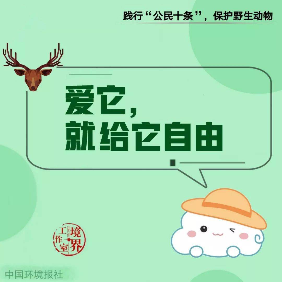 践行"公民十条" 保护野生动物
