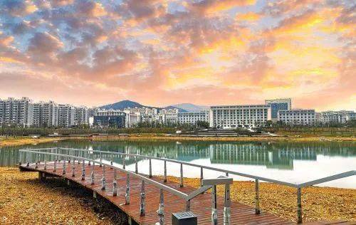 宿松生态修复促龙湖公园水清岸绿