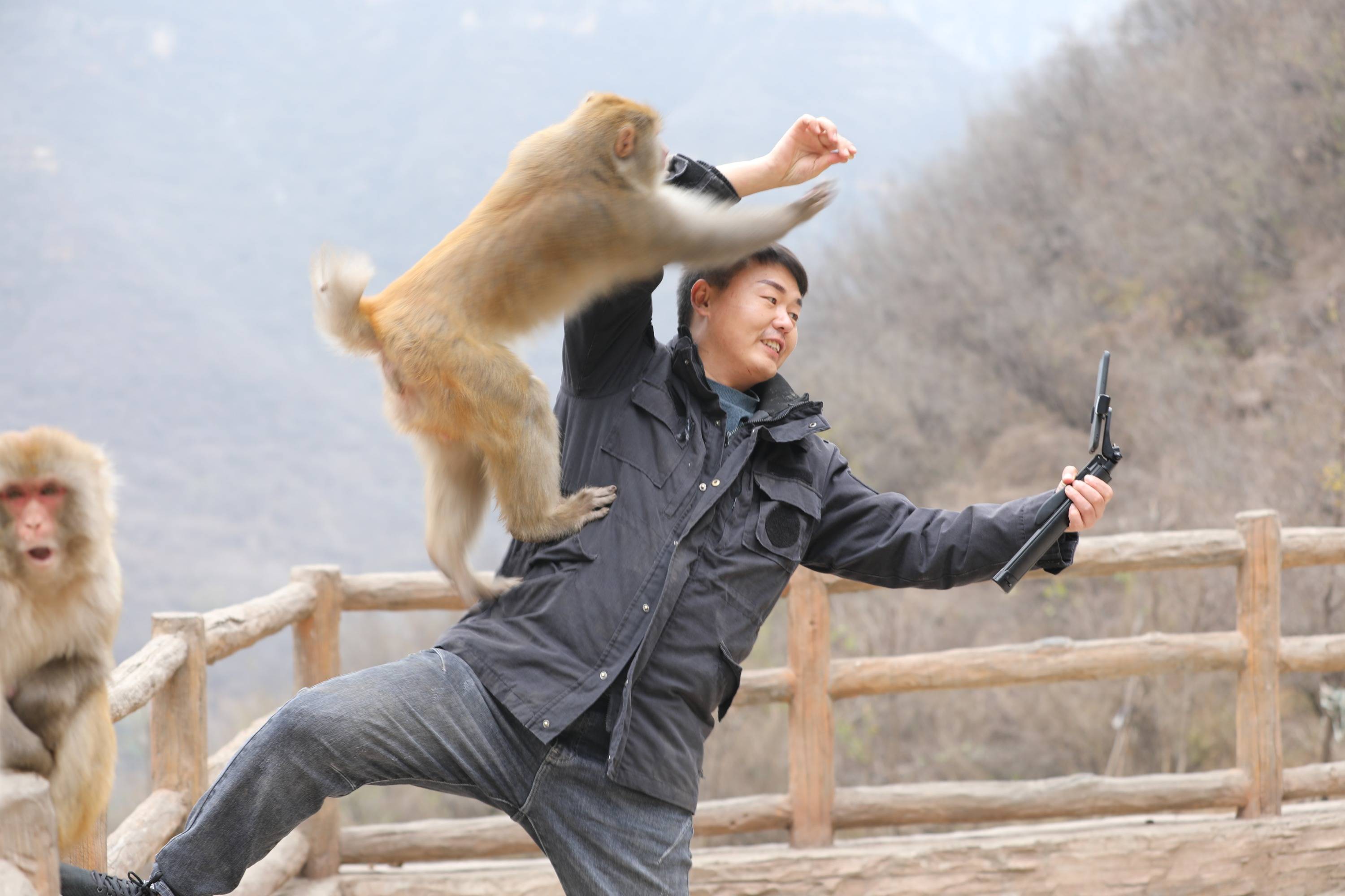 匡振京:太行山中的"猴爸爸"
