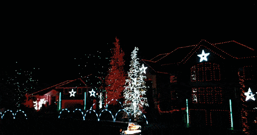 海皇星乐园圣诞图片