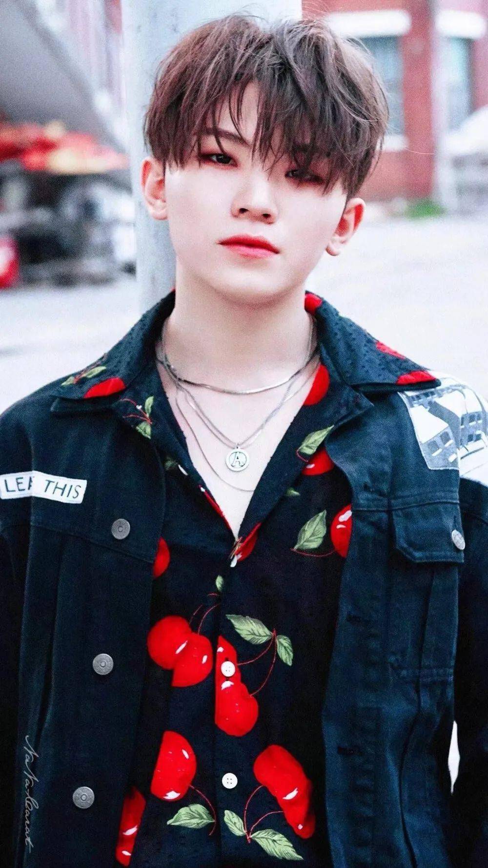 手机壁纸seventeen李知勋