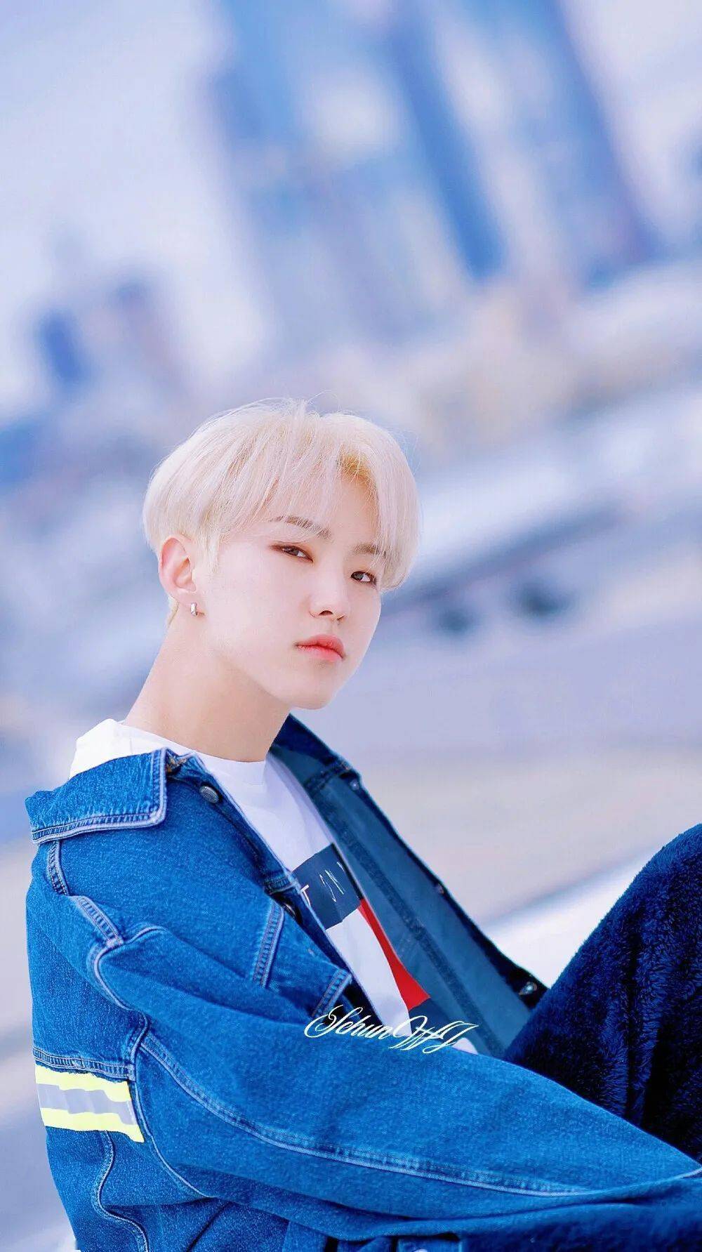 手机壁纸seventeen权顺荣