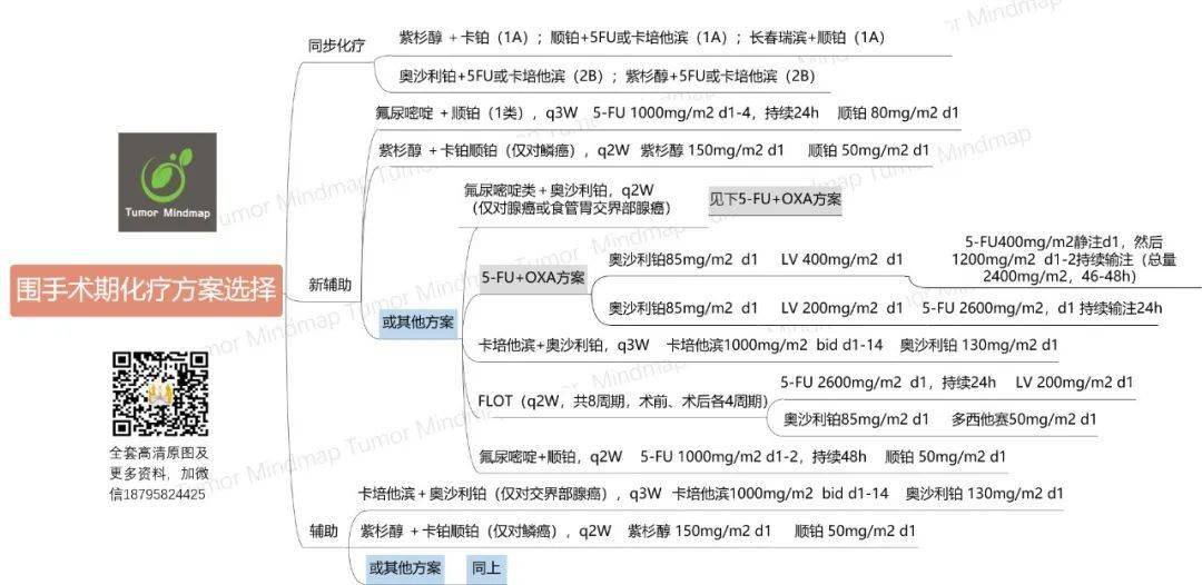 腫瘤思維導圖08期 | 食管癌csco2020診療指南(下)