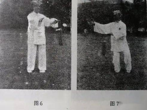 跟扎西恩师学51式杨氏太极剑3三环套月上
