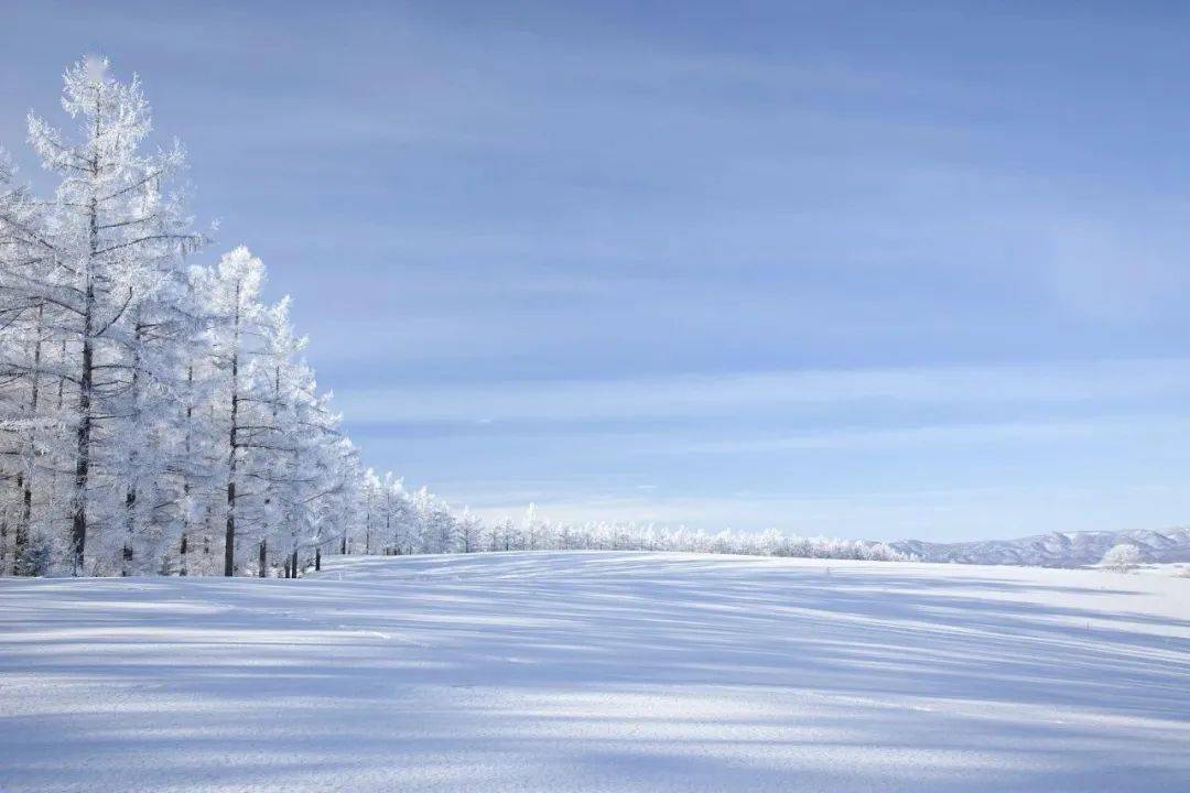 天地染雪色冷冬万物藏泉城壹号提醒您今日大雪