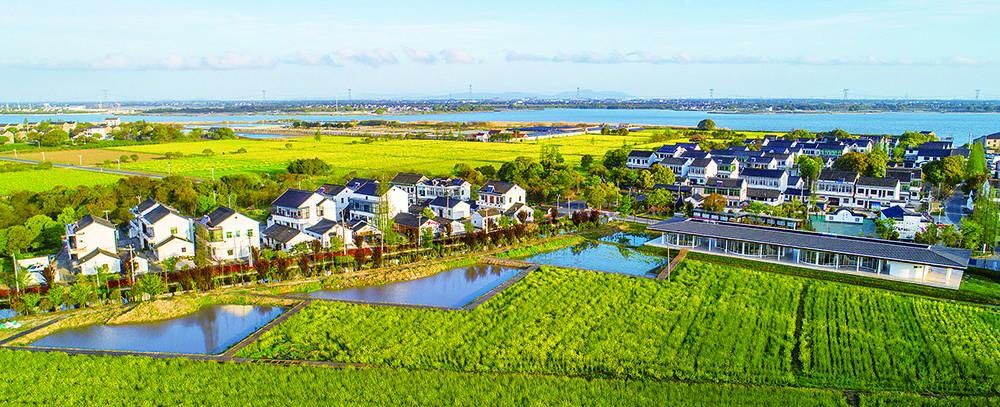 江南·百镇 | 震泽:太湖畔因蚕桑而生的丝绸名镇