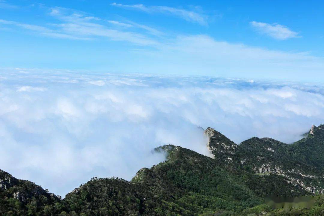 雲海浮波翻湧 山水澹澹生煙_泰山