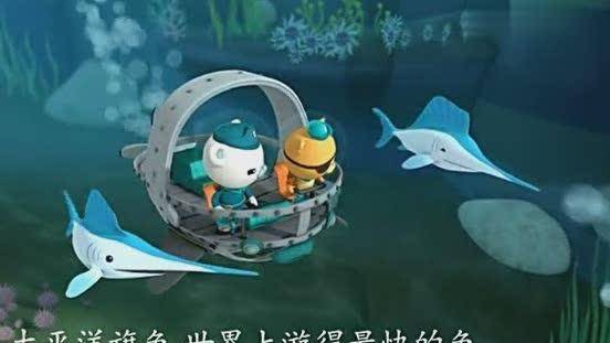 海底小纵队太平洋旗鱼就是一个飙车族