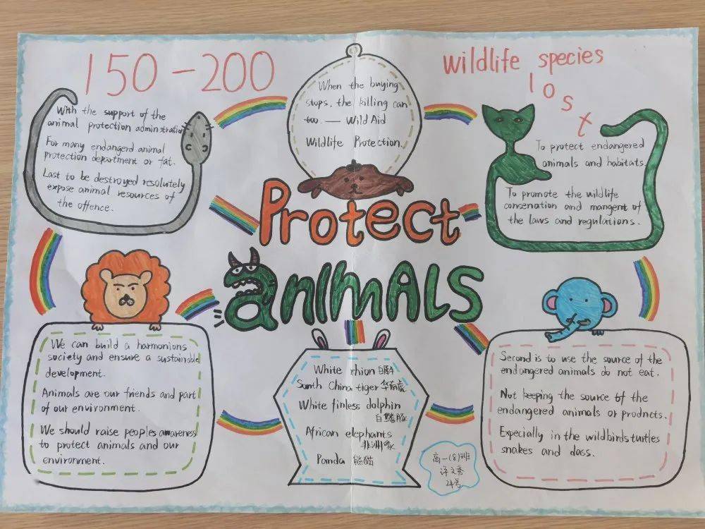 保护动物思维导图英语图片