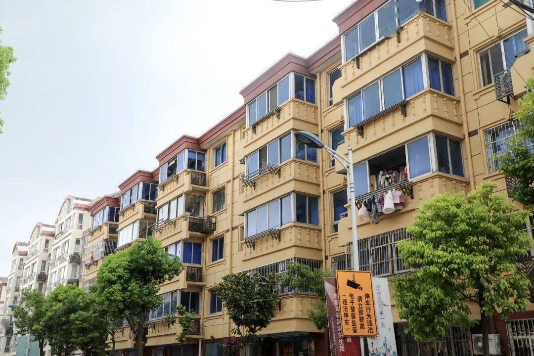 泰日振泰路整治后金汇镇的"美丽街区"建设暨"三线,百路"整治工程