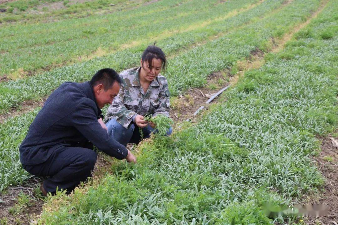 2003和2004年,年仅30岁的高秀虎连续遭遇了两次车祸