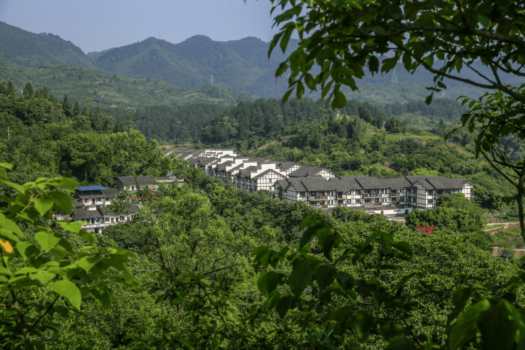 北碚这个村全国出名了快来看