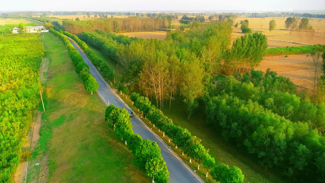 长寿之乡河南封丘:走好绿色路 打赢生态牌