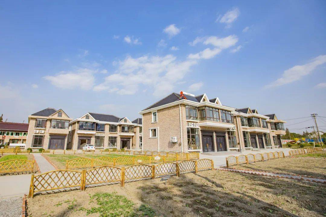 将菜地网格化看柘林镇新寺村田园风貌大变身