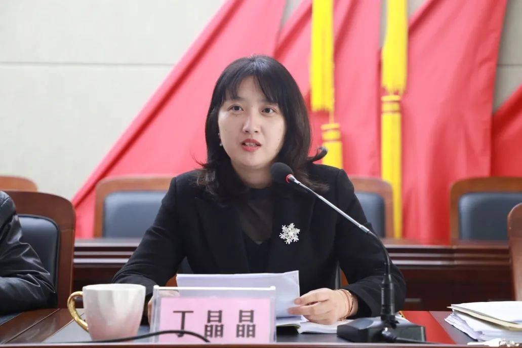 镇党委委员,组织委员丁晶晶作培训丁晶晶就村(居)民委员会换届选举
