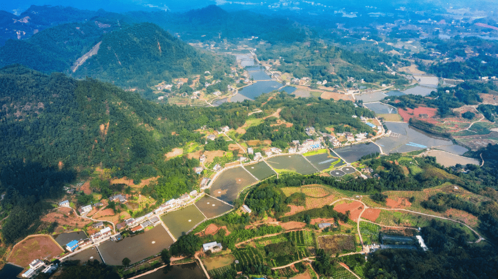 水产园区产业空间结构乐山市市中区水产现代农业园区以白马镇为耗心