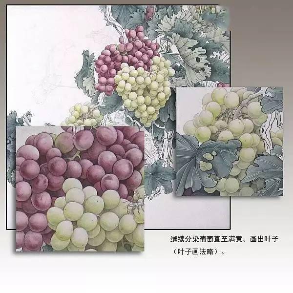 国画图文教程工笔画葡萄水珠染色步骤