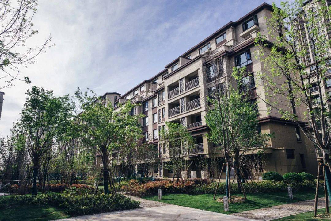 路劲·国际城万斤鲜蔬大礼包全城送啦!真新鲜!_中牟