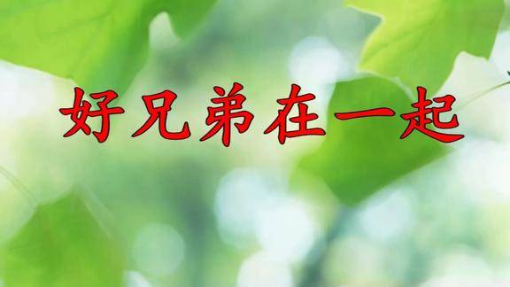 卞义好兄弟在一起好兄弟一杯酒一生一起向前走送给大家