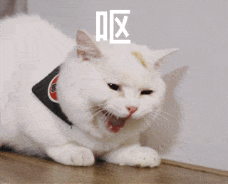 蘑菇,到底有多好吃?