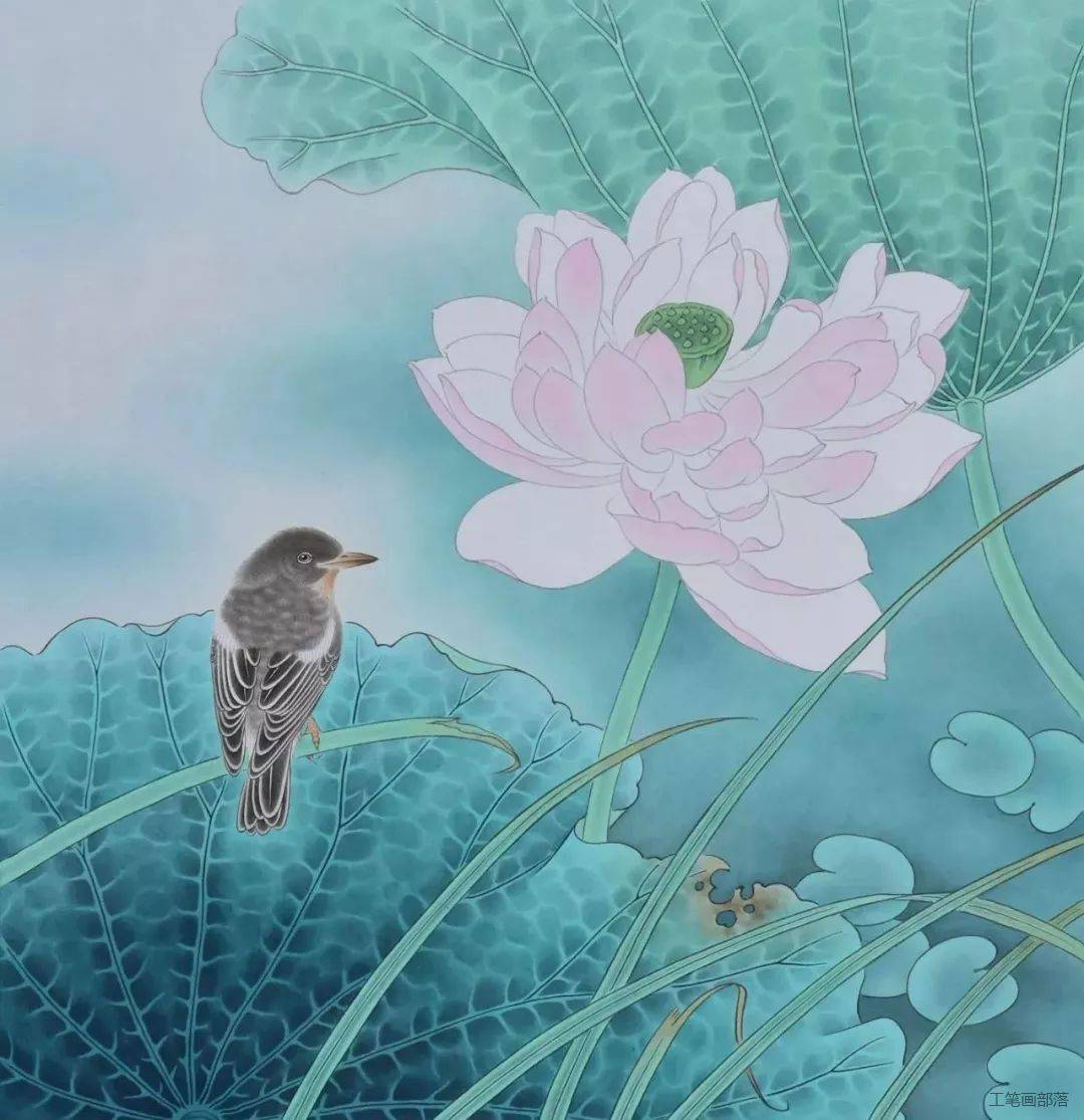 国画教程李科宏花解语绘制步骤