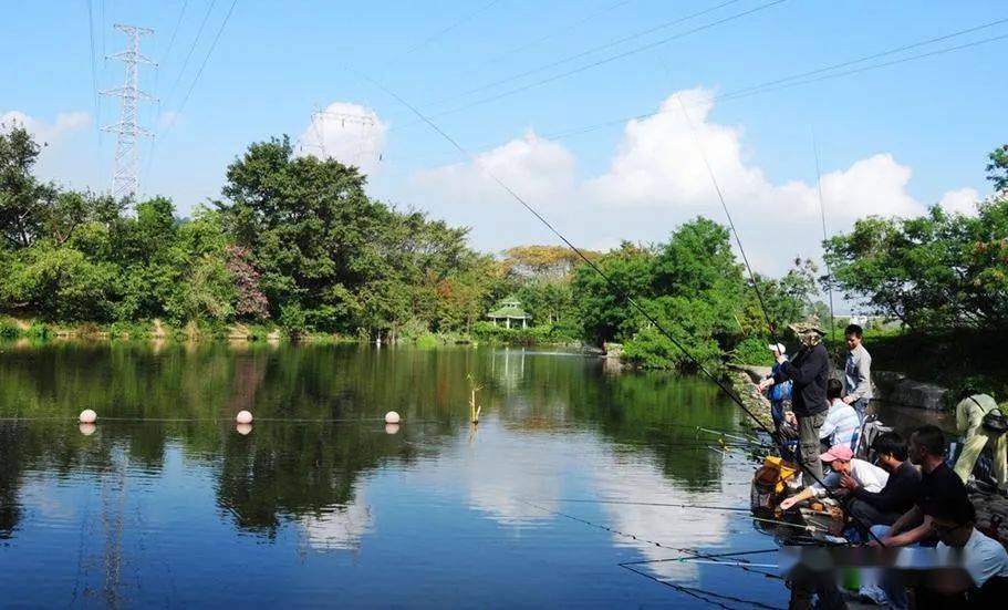 双十二莘国水城亲子垂钓园开业啦!_活动
