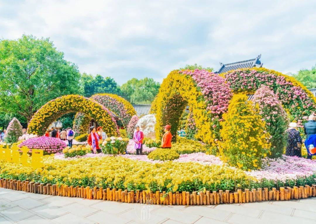 在青秀山一年一度的花展遇见活色生香的冬天