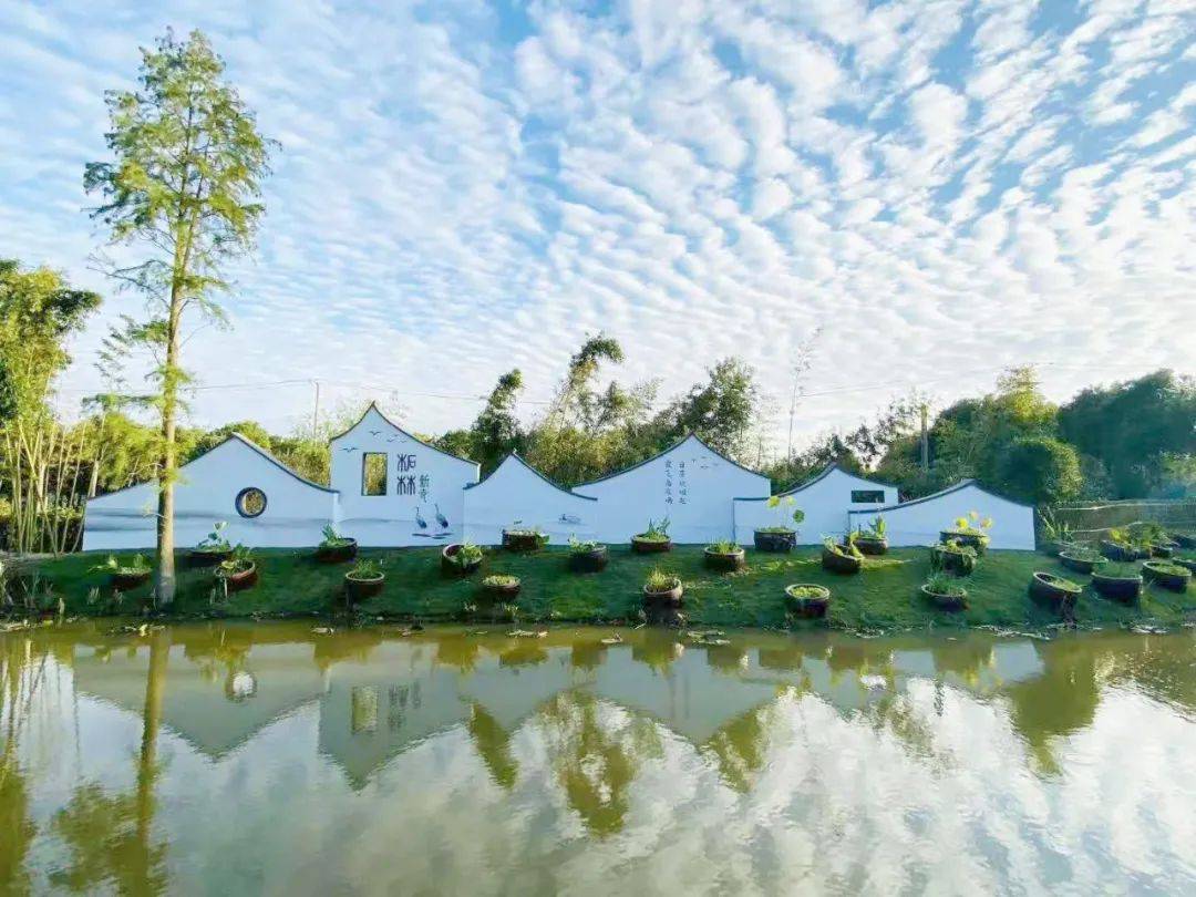 新寺村158亩的萌宠乐园你爱了吗再也不用担心毛孩子没地玩了