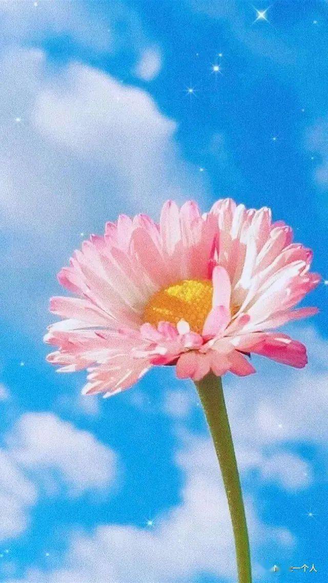 干净又温柔的小句子,治愈心灵,瞬间好心情