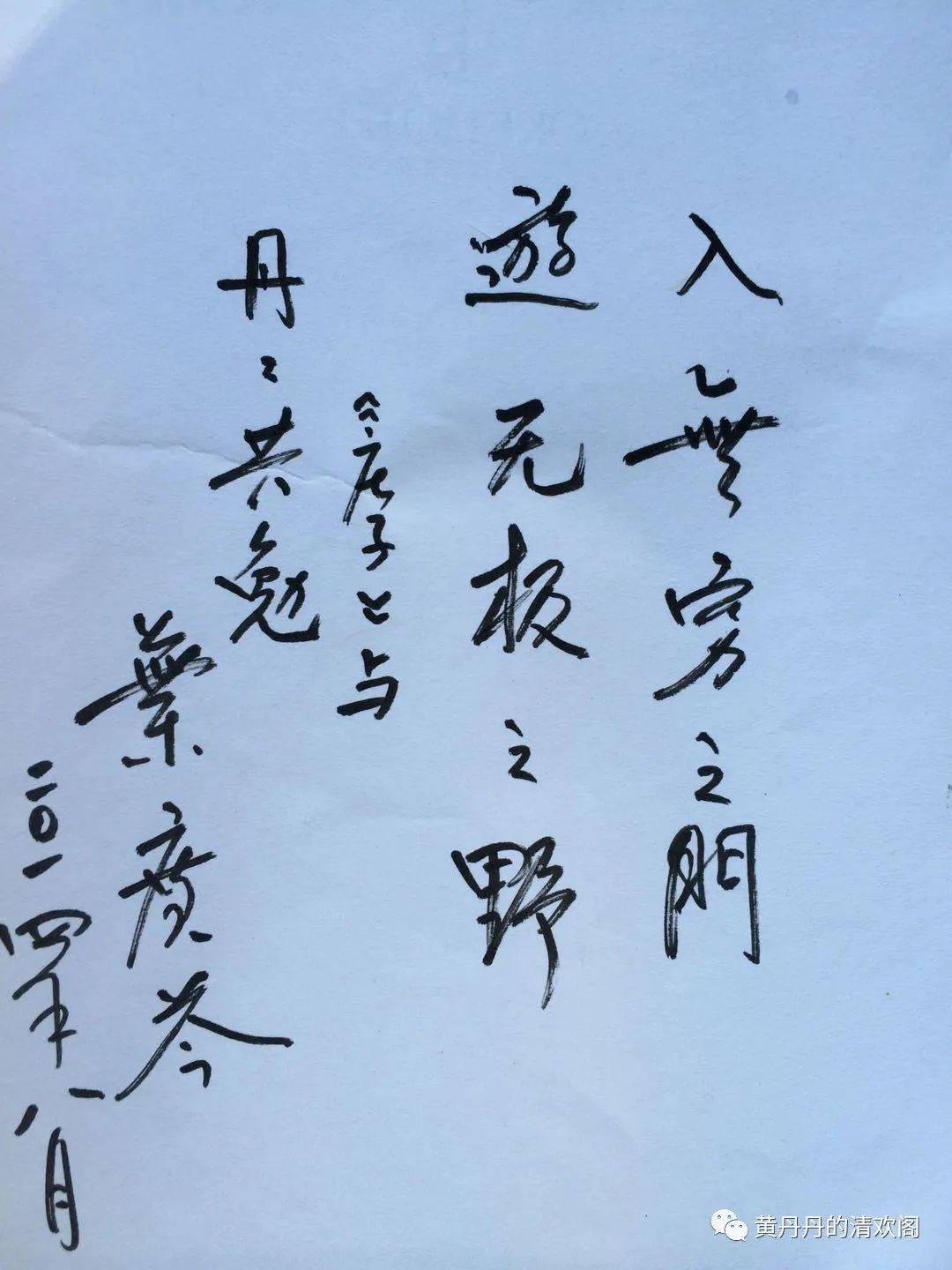 黄丹丹熊猫