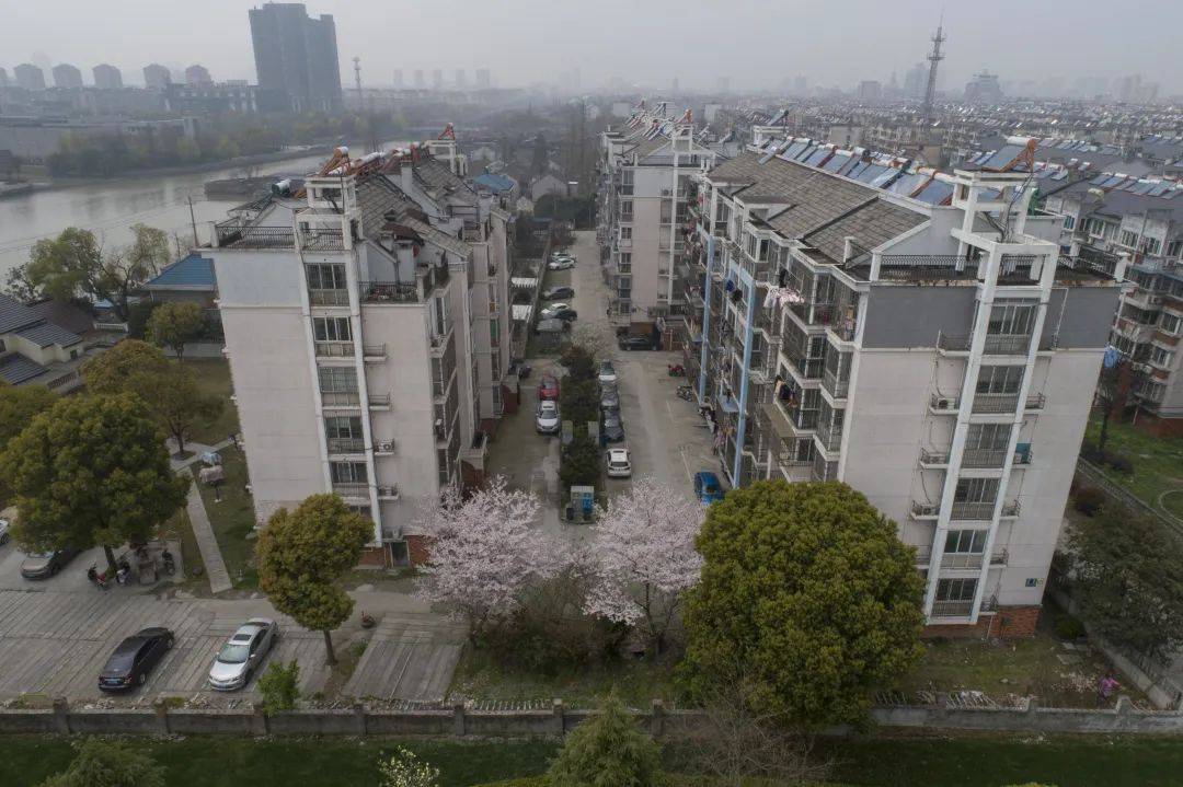 永福花园轻触图片查看变化子胥苑轻触图片查看变化嘉辰二期轻触图片