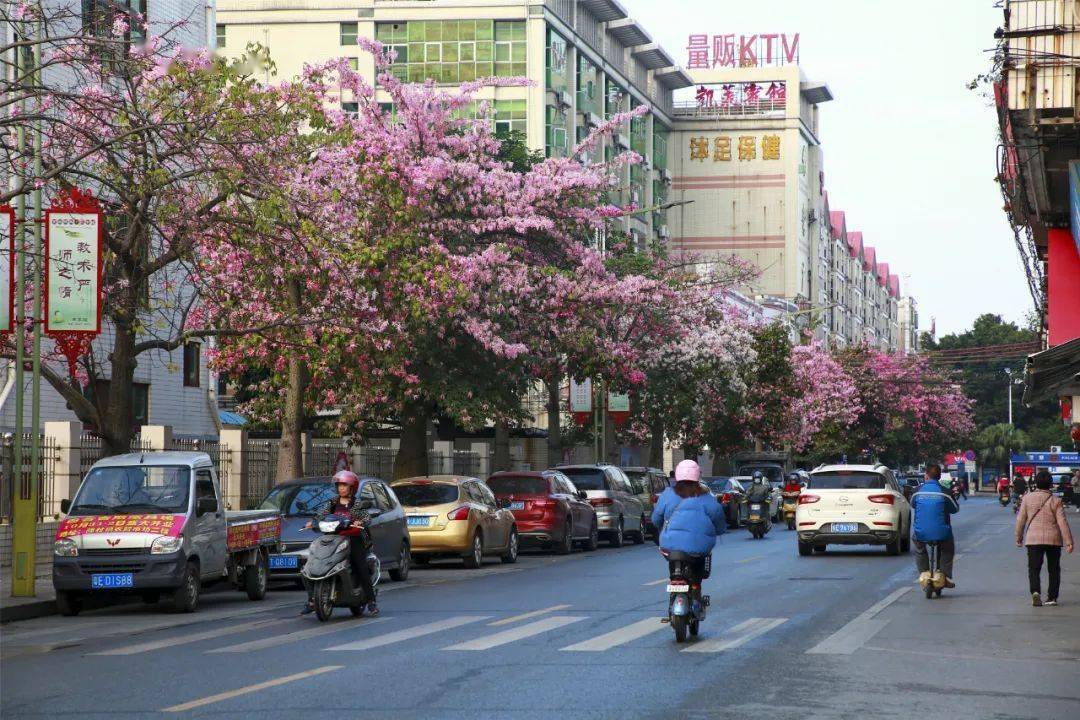 陈村街道图片