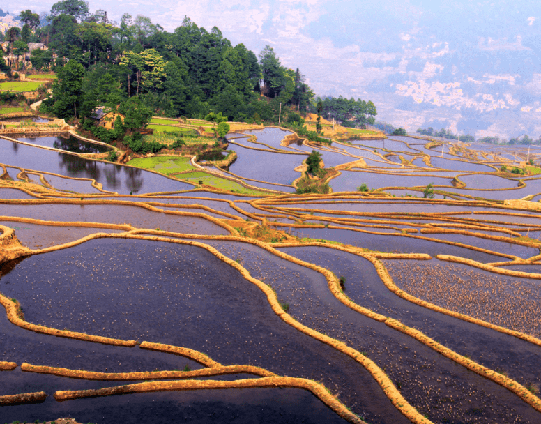 或波浪式断面的田地修筑的条状阶台式沿等高线方向梯田是在丘陵山坡地