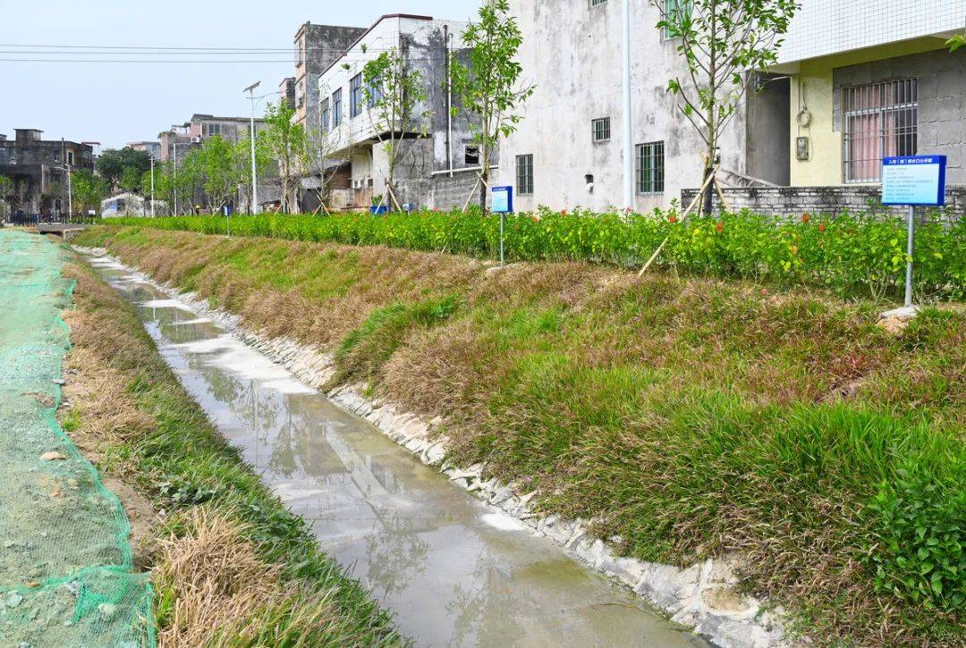 超有创意!市区昔日"臭水沟"变身街头小公园_居民