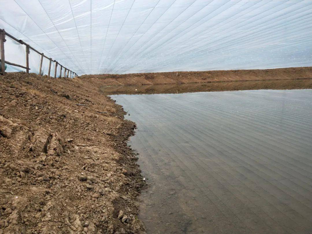 基塘整治好处多渔业增产又增效