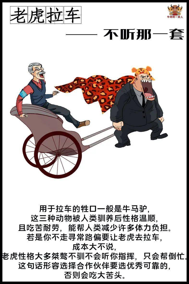 仔细领悟这十条歇后语中的经验教训别再踩前人走过的坑