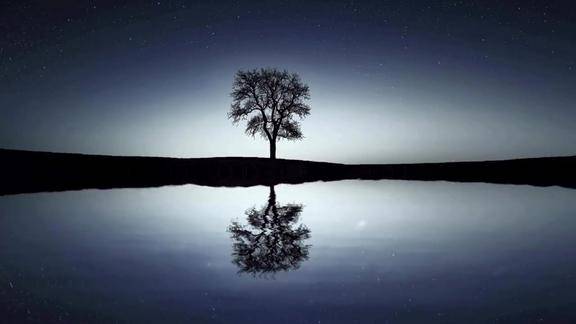 唯美伤感陶笛曲风姿花传空灵透彻直入心扉