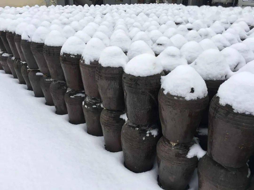 陕西特产汉中黄关黄酒纯糯米酒手酿老酒4斤桶装花雕酒陈酒泡阿胶超值