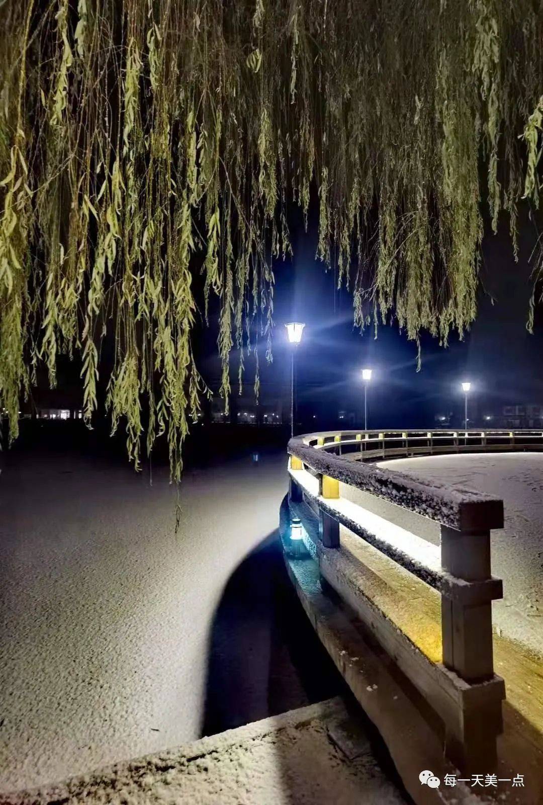 北京下雪了景色真的够奢侈