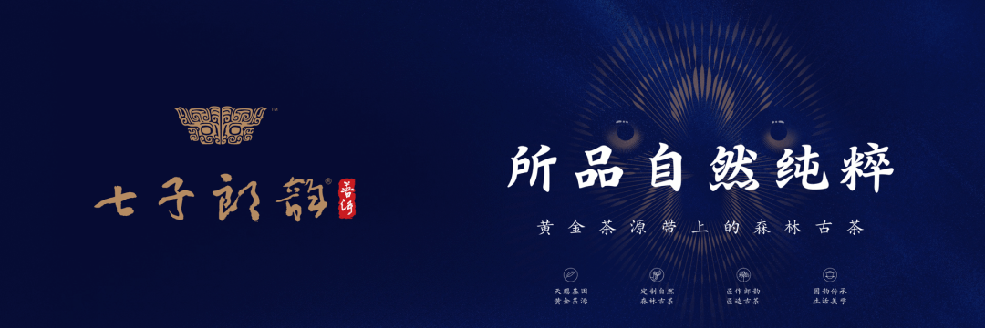 薄荷塘单株古树茶价格及图片
