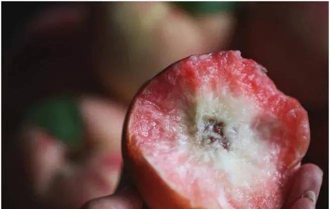 与碰伤,冻伤不同的是,霉变的水果,垃圾桶才是他们最好的归宿.