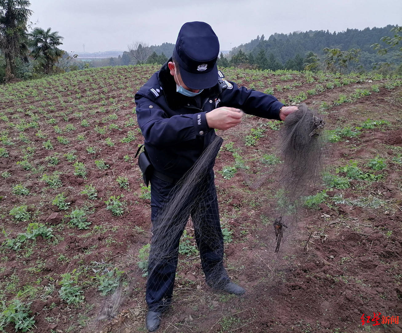 保护候鸟迁徙成都森林警察开展野外巡护