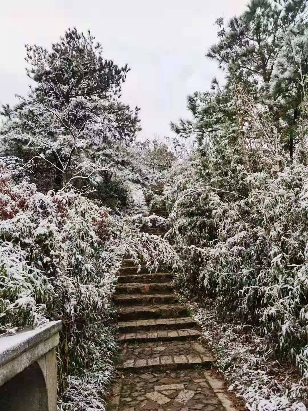 苏州大阳山雪景图片