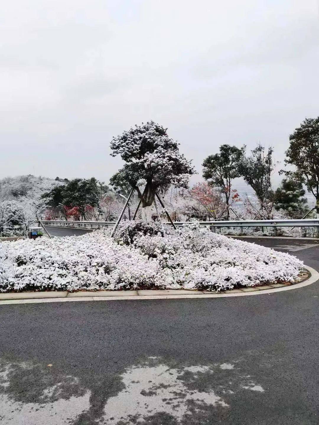 苏州大阳山雪景图片