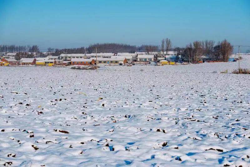 【誰不說俺家鄉好】冬日綏化最迷人的不光是雪,還有那滿滿的煙火氣